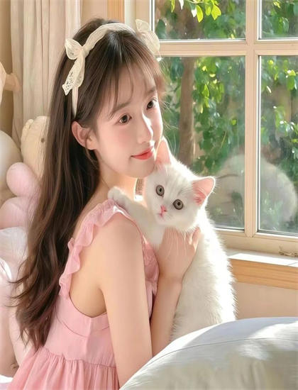 引人入胜的《布洛克岛》有什么特别之处？独特看点与特色独立解析